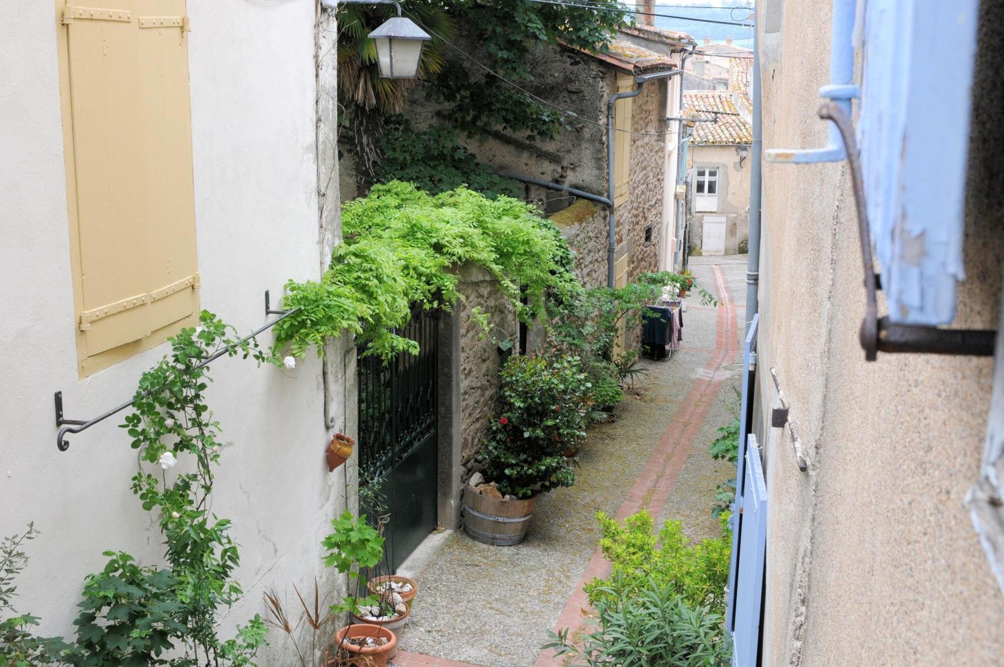 Maison Rives - Village Du Livre De Montolieu Exterior photo